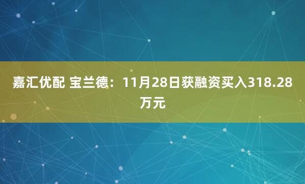 嘉汇优配 宝兰德：11月28日获融资买入318.28万元